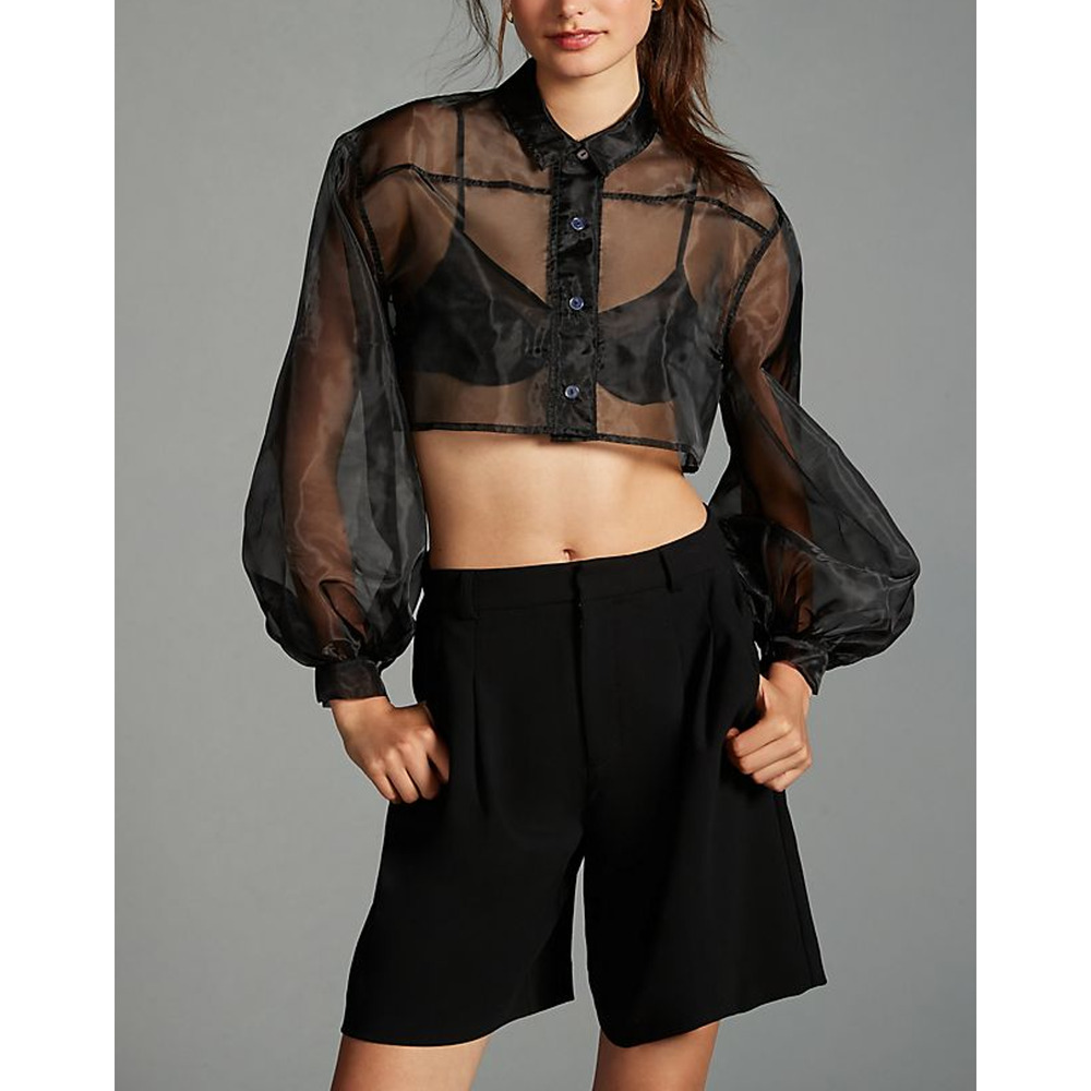 Anthropologie By Sheer Crop Blouse Size OS